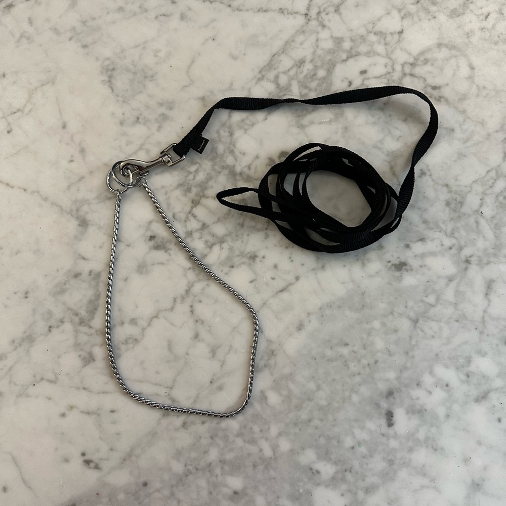 SLIP COLLAR DOG SHOWING COLLAR AND LEASH